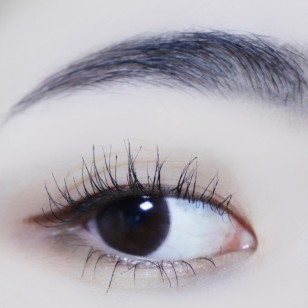 Holoris Mousse Choco(日拋)